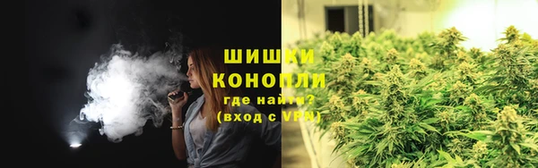 ПСИЛОЦИБИНОВЫЕ ГРИБЫ Няндома