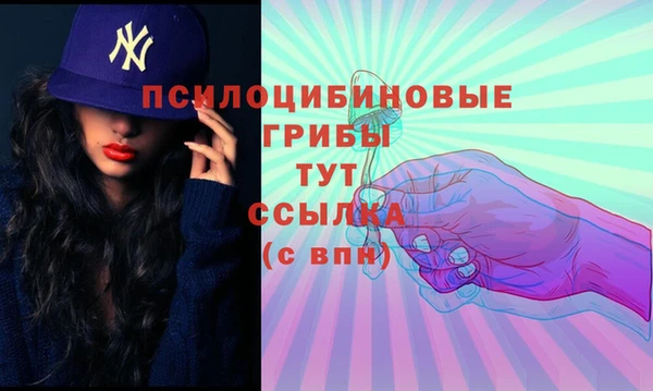 ALPHA PVP Нязепетровск